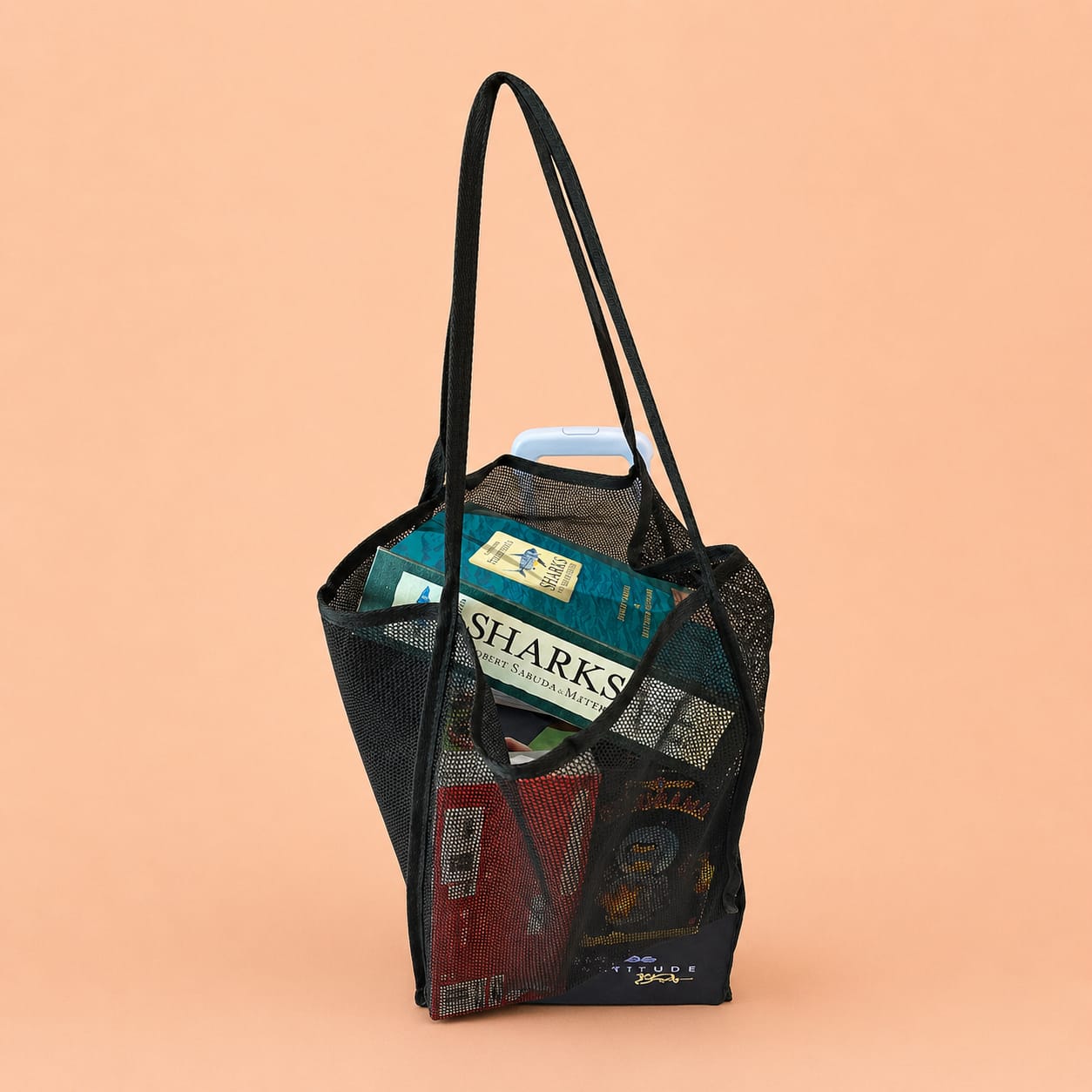 Big Mesh Bag