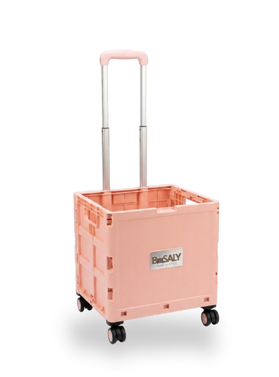 B.Saly product